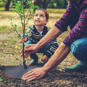 Bande de paillage ronde pour arbres, 32 pouces, en non-tissé, épaisse, réutilisable, pour le contrôle des mauvaises herbes et la protection des arbres et des fleurs, à faible coût - Product Image 6