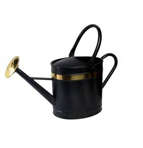 Arrosoir Canne d'arrosage en métal avec un design simple et une longue buse et une poignée ronde pour le jardin extérieur - Product Image 1