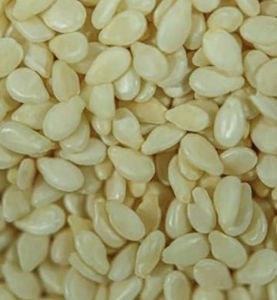 Graines de sésame blanc biologiques fraîches de qualité supérieure, approvisionnement en vrac, qualité supérieure, usage alimentaire naturel, sain et abordable - Product Image 1