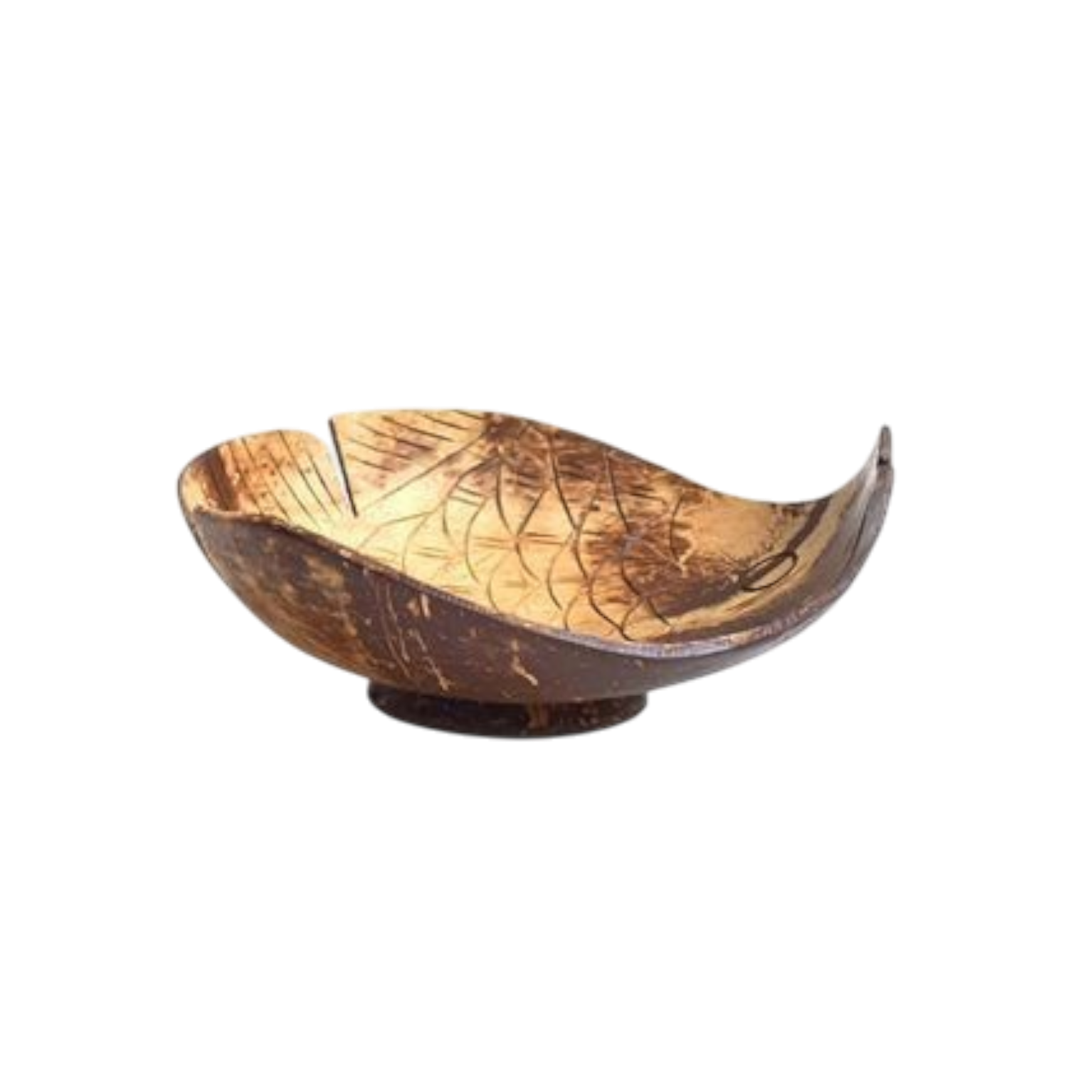 ธรรมชาติ