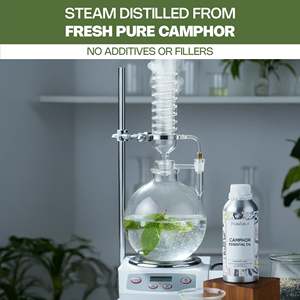 Huile essentielle de camphre pour les cheveux, pour les soins et l'amélioration des cheveux - Product Image 4