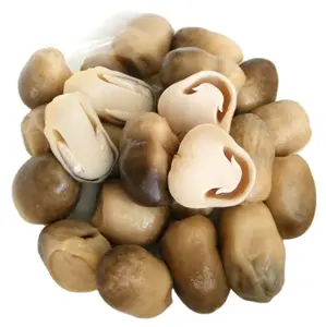 Fungo di paglia in scatola di qualità Premium per funghi alimentari vegetariani miglior prezzo