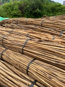 Canne en rotin de haute qualité Poteau en rotin brut naturel Meilleure vente - Product Image 5