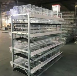Nouveau système automatique de cages de batterie de poulet de poules pondeuses de couche galvanisée de Type A pour la ferme avicole de poulet de couche de volaille - Product Image 6