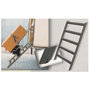 Basic Model and Model 2 Loading Ramps Plates & Boards with 5 Rung <b>Ladder</b> - Product Image 1