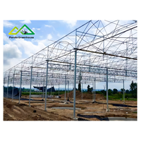 Hotselling grote multi-span polyethyleen folie kas, PO PE folie kas kit en kasbeplantingsplan
