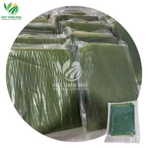 Hoja de Plátano Congelada Orgánica VIET THIEN PHU, Fruta Fresca Económica de Alta Calidad, Estilo Directo de Agricultura Vietnamita para Uso Industrial - Product Image 1
