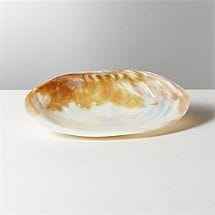 Bols à salade en corne de buffle zen asiatique 100% naturels et écologiques, ustensiles de cuisine personnalisés pour hôtel, restaurant, usage domestique, dîner - Product Image 6