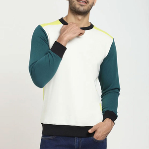 Sweat-shirts à capuche pour hommes en coton 100% personnalisés, imprimés et brodés, vêtements thermiques décontractés d'hiver, vente - Product Image 1