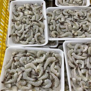Camarones Vannamei congelados a granel para proveedores internacionales de mariscos disponibles para la venta - Product Image 6