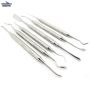 Kit de Perióstico de Marca Personalizada, Instrumentos Dentales Profesionales, Elevador Manual de Acero Inoxidable, Instrumento de Implante, Certificado CE - Product Image 1
