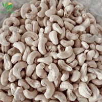 Premium Biologische Gedroogde Cashewnoten Uit Vietnam Redelijk Geprijsd Groothandel Notenproduct