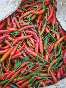 Hot Bán Đông Lạnh Ớt Việt Nam/Ớt Đỏ/Tươi Gia Vị Chất Lượng Cao Tại Giá Bán Buôn - Product Image 6