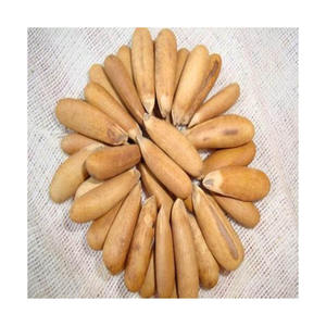 Nueces de pino natural Nueces de pino salvaje Núcleos de piñones orgánicos con conchas - Product Image 1