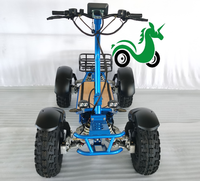Quad électrique motorisé