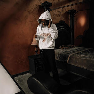 Sudadera con capucha Retro 2025 nueva sudadera con estampado personalizado de manga larga con capucha Street Trend gran oferta de alta calidad - Product Image 3