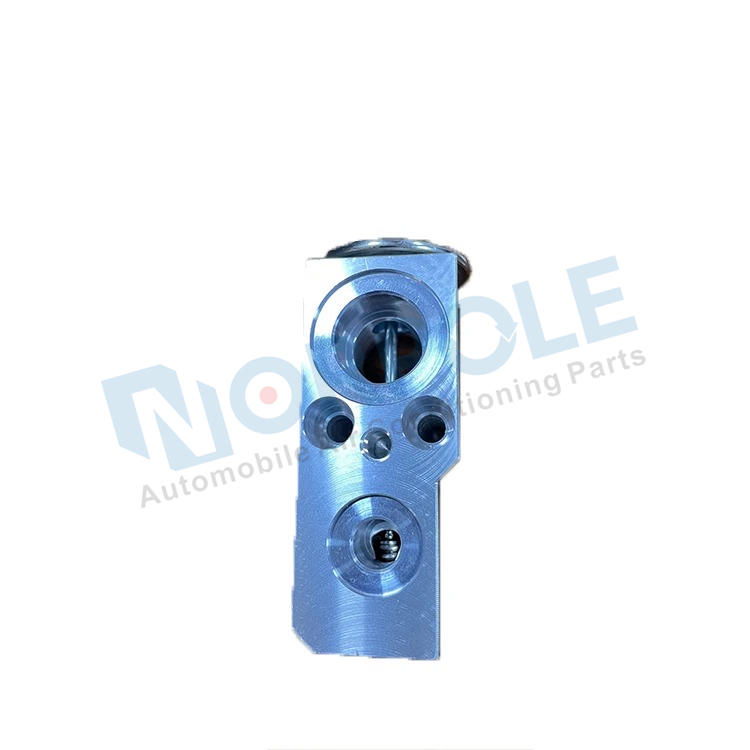 2178300084 Auto Air Conditioning Expansion Valve for