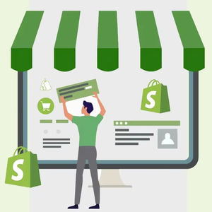 Shopify Developer Services pour créer une page d'atterrissage personnalisée et une page de description de produit - Product Image 5
