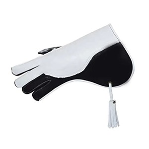 Gants professionnels en cuir de haute qualité pour la manipulation des oiseaux Gants Falcon pour la chasse et les soins en plein air pour animaux de compagnie Conception respirante - Product Image 2