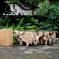 Table basse extensible en racine de teck massif, faite à la main, design rustique écologique, meuble de salon unique et robuste