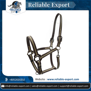 La mejor calidad de nylon PVC caballo Halter impermeable equipo ecuestre accesorios precio al por mayor - Product Image 2
