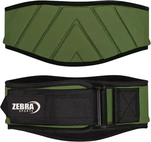 Ginásio Neoprene Logotipo Personalizado Cinto De Levantamento De Peso Unisex EVA Halterofilismo Cinto Neoprene Curvo 6 "Back Support Belt Preços por atacado