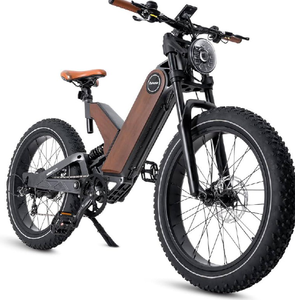 Bicicleta Eléctrica Plegable ANTELOoPE P5, Grado Industrial y DIY, Velocidad Máxima de 32 MPH, Fuerte, Personalizable, OEM, 1 Año de Garantía - Product Image 2