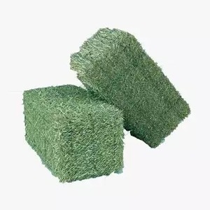 หญ้าอัลฟัลฟ่าแบบสดในก้อนหญ้าแห้งแบบเม็ดอัลฟัลฟ่าอบแห้ง - Product Image 1