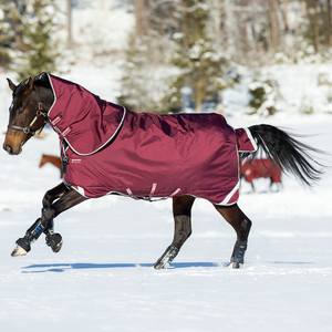 Nueva Llegada, Diseño Personalizado, Mantas para Caballos de Tela Oxford 1200D Impermeable, de Polialgodón, Lavables a Máquina, Forro de Poliéster Ligero - Product Image 1