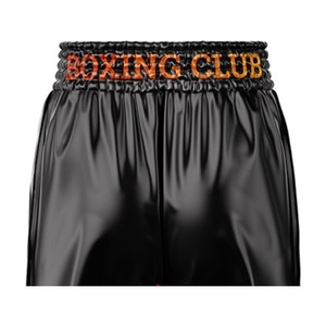 Pantalones cortos MMA personalizables para lucha y boxeo Ropa deportiva transpirable con diseño de logotipo para ropa de artes marciales - Product Image 6