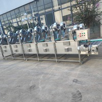 Séchoir à air continu automatique pour légumes et fruits avec souffleur de refroidissement à bande transporteuse