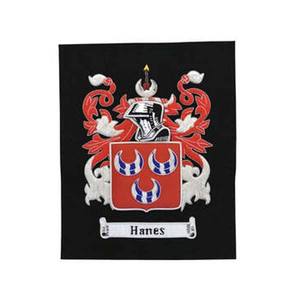 Insignias de marco de encaje bordadas a mano especiales con botón de diseño personalizado en el tipo para escudos de armas y crestas familiares - Product Image 3