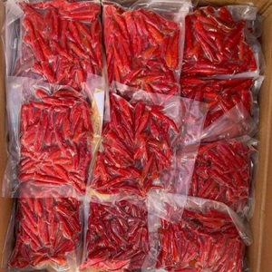 Chiles Rojos Congelados sin Tallo de Vietnam de Alta Calidad, Cultivados en Invernadero, Proceso IQF, Grado Superior para Sazonar Picante - Product Image 5