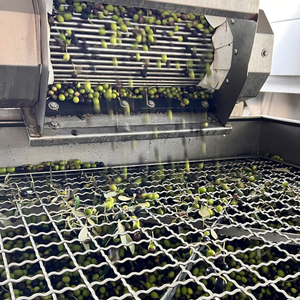 Pruneti น้ำมันมะกอกจากอิตาลีบริสุทธิ์พิเศษ100% รสชาติอ่อนๆโพลีฟีนสูงอัดเย็นครั้งแรกคุณภาพพรีเมี่ยม5lt บรรจุกระป๋อง - Product Image 3