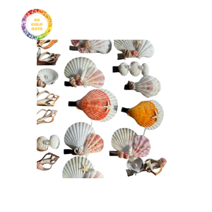 Pince à cheveux coquillage de qualité supérieure-Pince à cheveux élégante de haute qualité pour un usage quotidien à un prix incroyable - Product Image 5