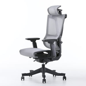 Silla Ergonómica Moderna Ergochair Pro 2, Silla Giratoria de Malla con Elevación para Oficina en Casa, Espuma, Tela, Aluminio, Plástico, PU - Product Image 1