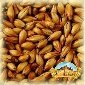 Malt <span class=keywords><strong>Ch</strong></span>â<span class=keywords><strong>teau</strong></span> Cara Ruby 50 EBC - Product Image 1