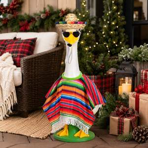 Disfraz de Ganso para Porche, Poncho Mexicano, Sombrero de Paja, Gafas de Sol, Decoración de Jardín - Product Image 1