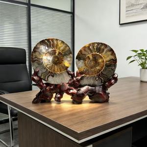 Tranche de fossile d'ammonite naturelle avec support, géode druzy, coquille d'escargot, ornement de bureau, spécimen de cristal de guérison pour la décoration de bureau et de la maison - Product Image 2