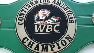 Ceintures de championnat de boxe Trophées Médailles et récompenses le symbole ultime de la victoire et de l'excellence Ceintures de championnat - Product Image 6