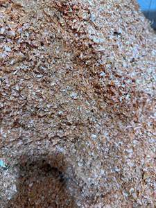 Hete Verkoop Van Vietnam Eersteklas Gedroogde Garnalenschaal Voor Vee Bestseller Van De Maand - Product Image 4