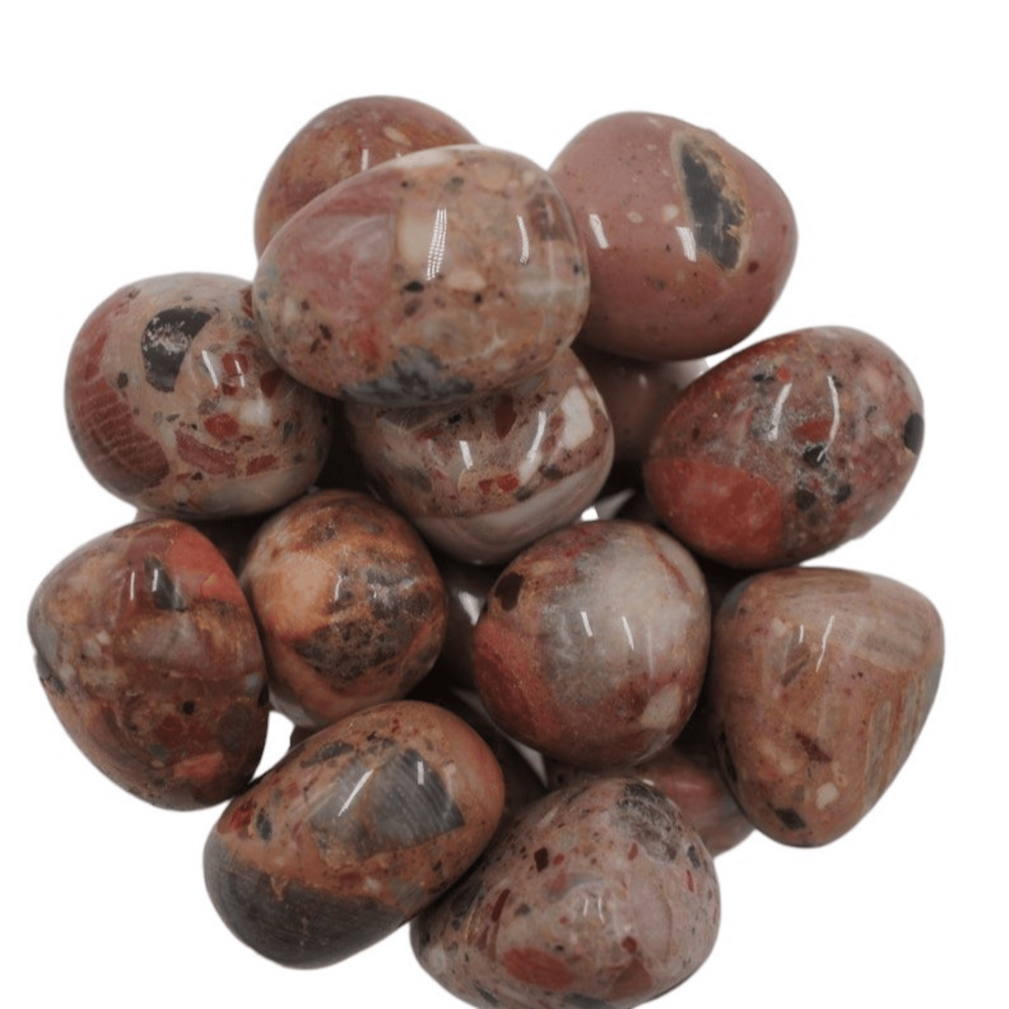 ตามที่แสดง