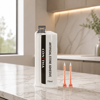 CONSTHA 75ML Pâte acrylique bicomposante haute adhérence, imperméable, pour la construction, adhésif Corian