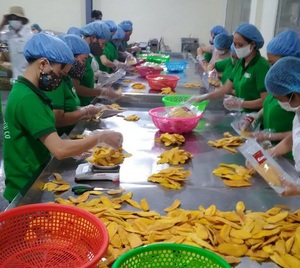 Frutos secos en embalaje pequeño MOQ pequeño para minoristas y mayoristas con buen precio-JANE LEE + 84968234538 - Product Image 5