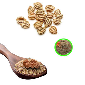 Ajwain (Carom) | Herbe sèche | Goût et utilisation supérieurs - Product Image 3