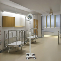 Équipement hospitalier, lampe chirurgicale LED verticale, lampe chirurgicale vétérinaire, lampes de bloc opératoire portables et mobiles