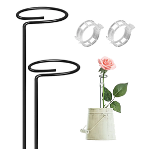 Enrejado de hierro de un solo tallo para interiores y exteriores, enrejado pequeño para plantas trepadoras, suministros de jardín, soportes al por mayor para interiores en macetas - Product Image 6