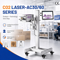 Machine de marquage laser CO2 ANTIAN OEM pour l'industrie, codeur pour carton, bois, cuir, emballage avec marquage permanent