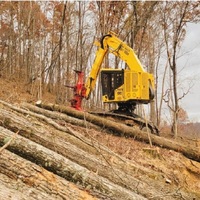Buncher cingolato certificato feller XT465L-5