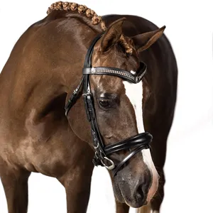 Brida de cuero SidePull para caballo, diseño personalizado, alta calidad 2019, tamaño y logotipo personalizables, precio mayorista económico - Product Image 4